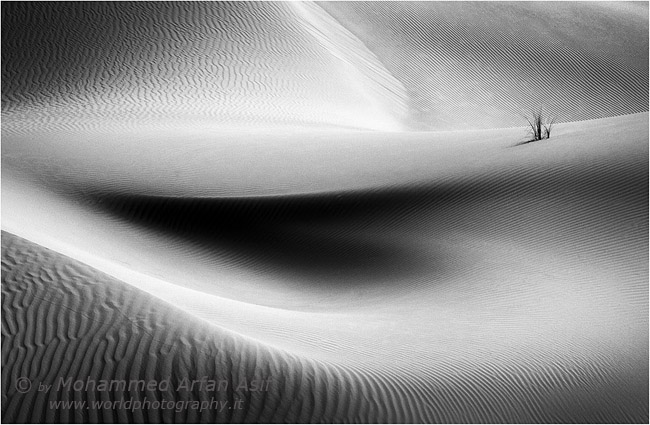 Rhythm of the Dunes